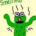 SMellmo